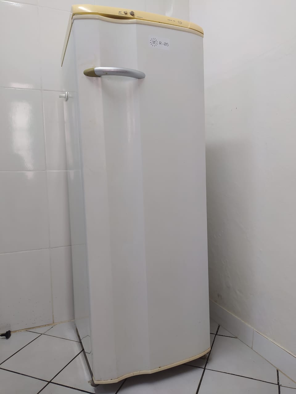 Foto principal: Geladeira Electrolux RDE30 de 262 L e 1 porta — usada