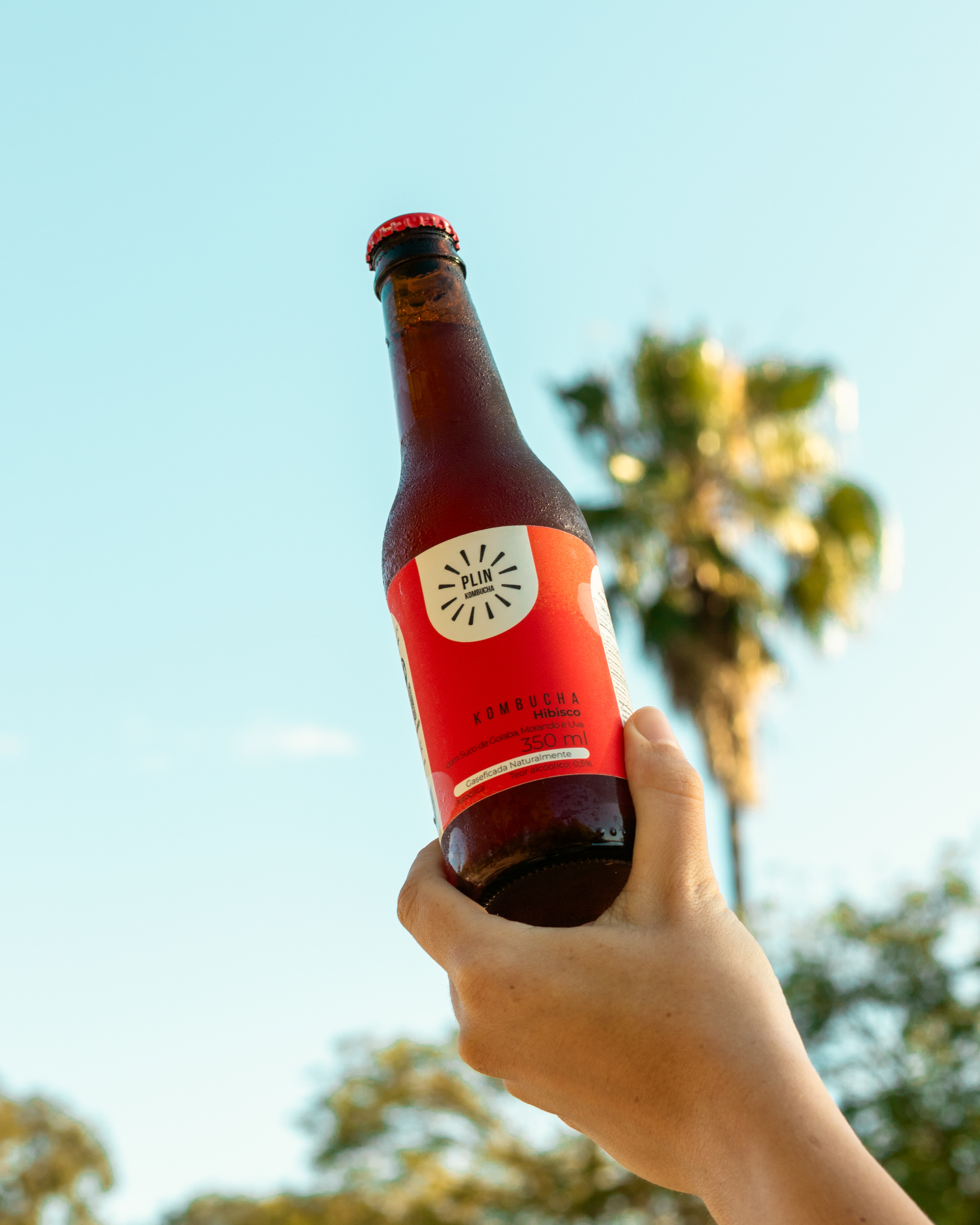 Uma garrafa gelada de Plin Kombucha erguida ao ar livre