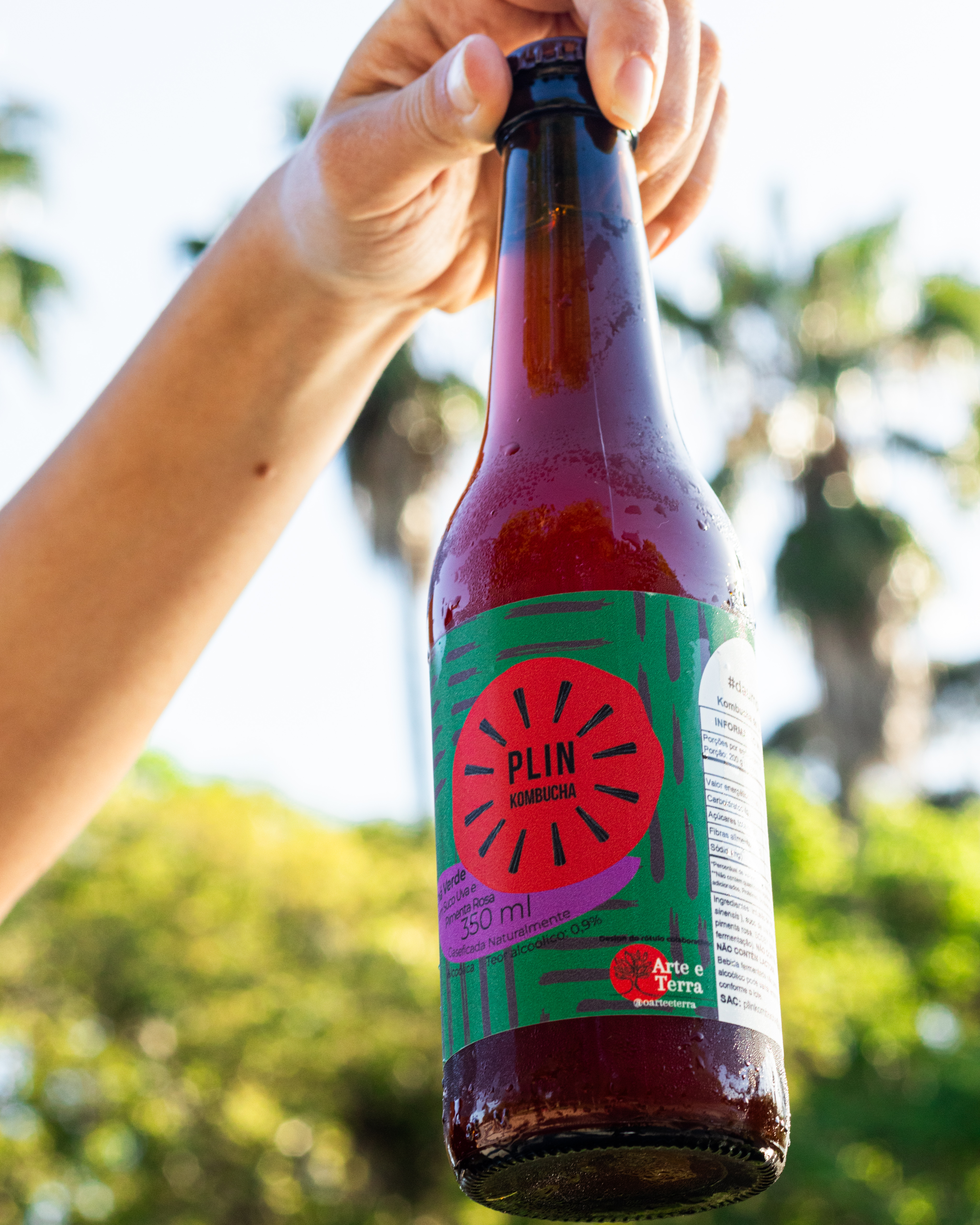 Garrafas de Plin Kombucha em meio à natureza